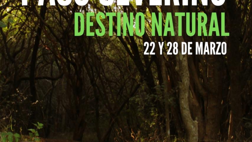 Caminatas por el Monte Nativo