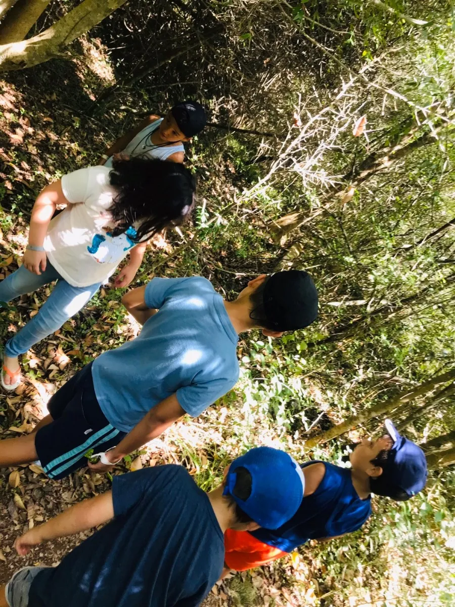 Programación Semanal - 27.01 al 02.02