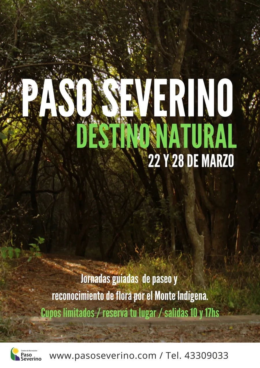 Caminatas por el Monte Nativo